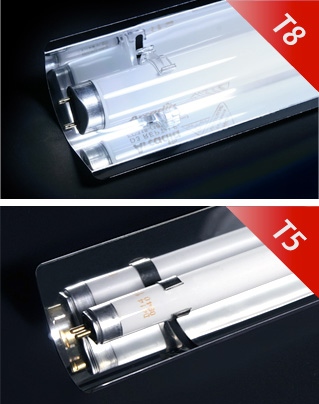 Arcadia Reflector T5 - Imagen 2