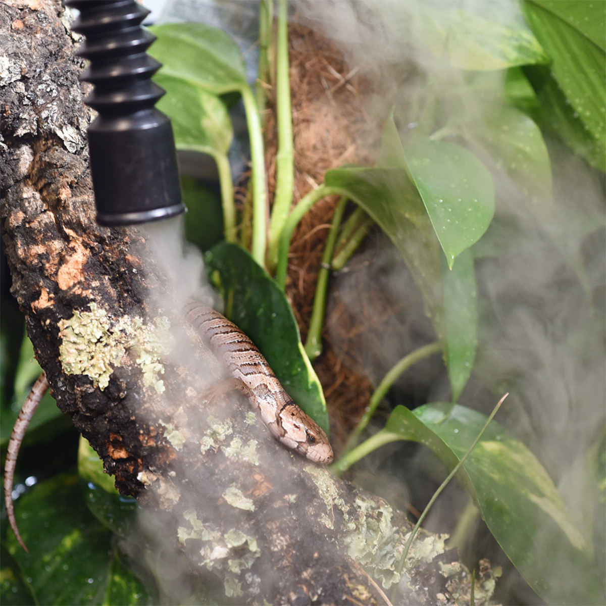 HabiStat - Humidifier 4 Lts - Imagen 7