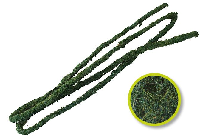 Liana Natural Tropical Vine – Komodo - Imagen 2