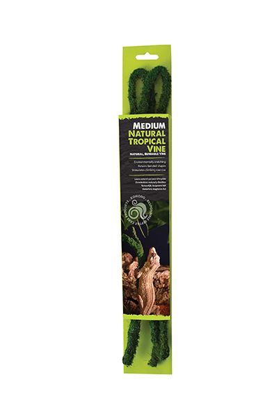 Liana Natural Tropical Vine – Komodo
