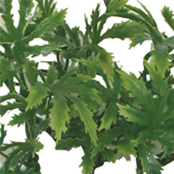 Decoração Papaya Leaf Vine – Komodo - Imagen 2