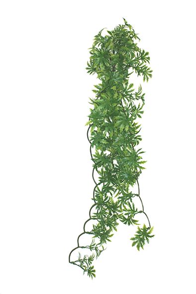 Decoração Papaya Leaf Vine – Komodo