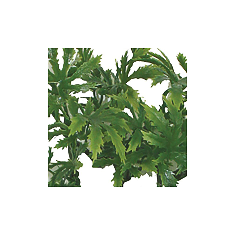 Decoração Papaya Leaf Vine – Komodo - Imagen 3