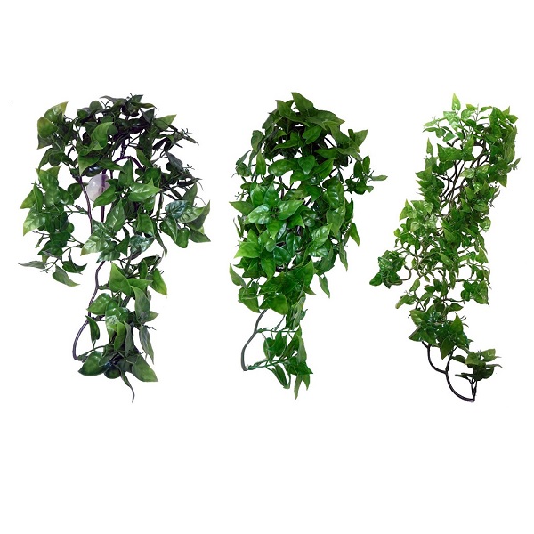 Decoração Philodendron Hanging – Komodo - Imagen 3