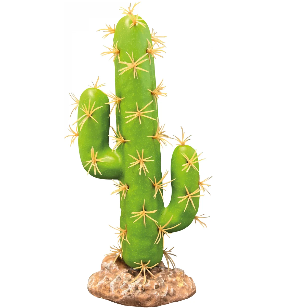 Cato San Pedro – Repto