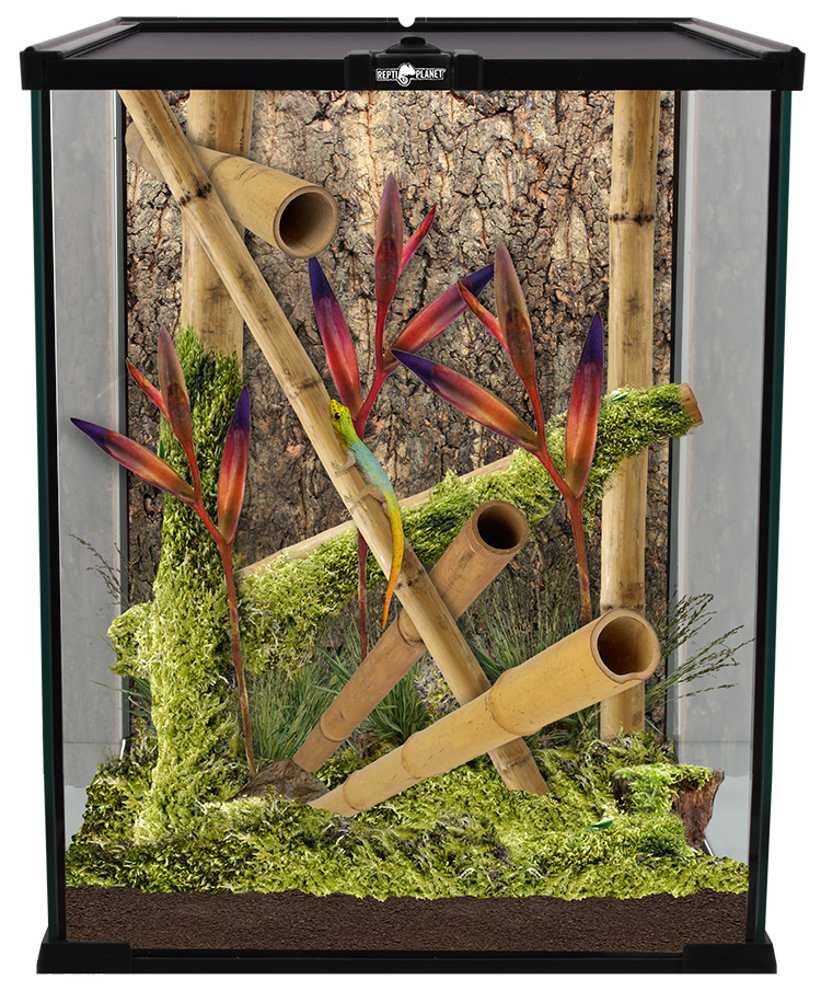 Terrário 20x20x30cm - Repti Planet