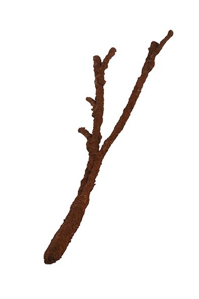 Ramo Tropical Vine – Komodo - Imagen 2