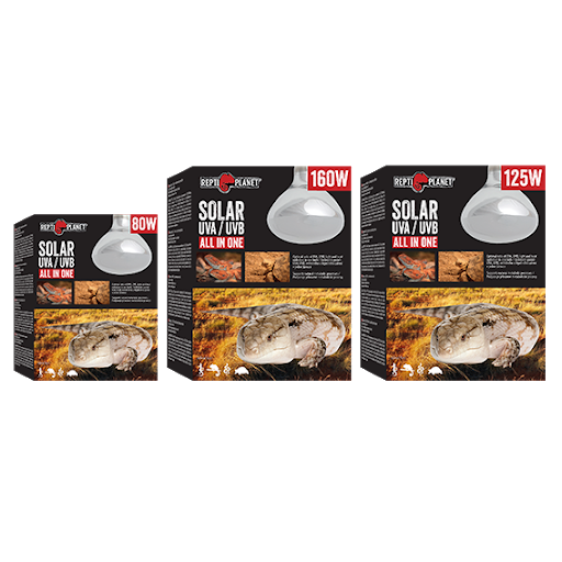 Lâmpada Solar UVA/UVB All in One – Repti Planet - Imagen 2
