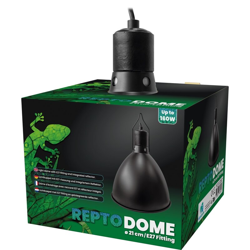 Repto – Dome - Imagen 3