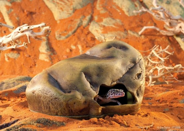Cova Gecko Cave ExoTerra - Imagen 6