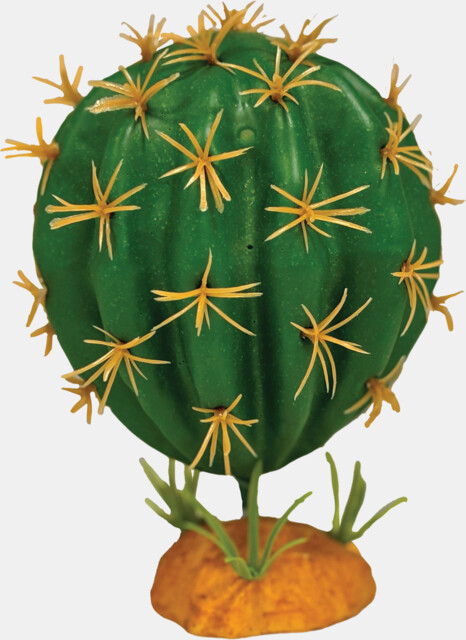 Decoração “Cactus Orb” – Repto