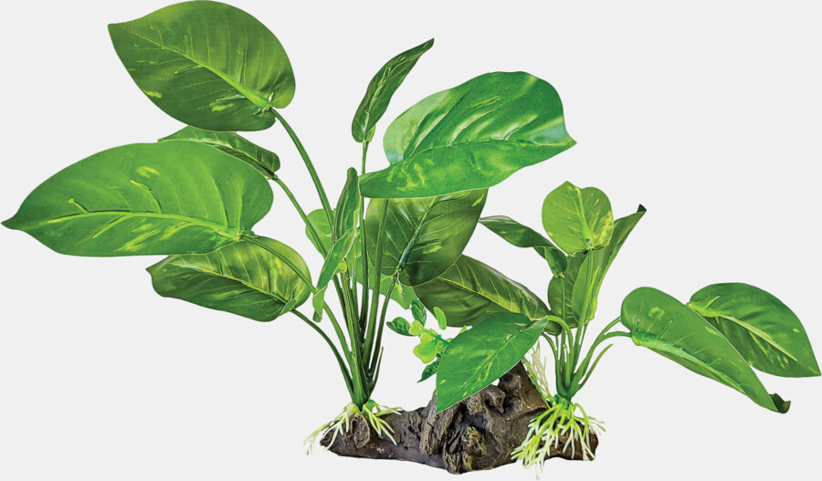 Decoração “Planta Dark Green” – Repto
