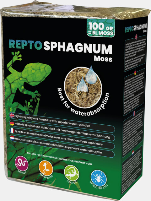 Musgo Sphagnum – Repto