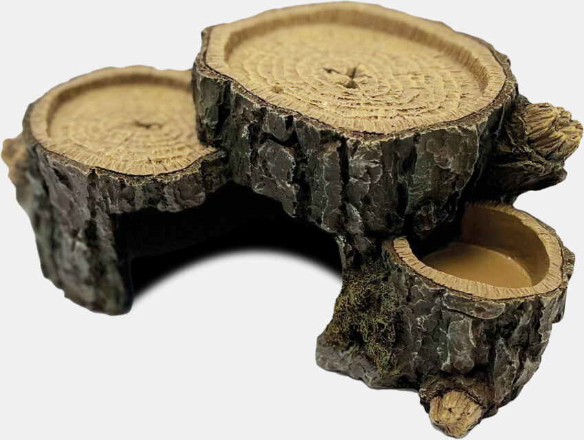 Decoração “Triple Trunks” – Repto