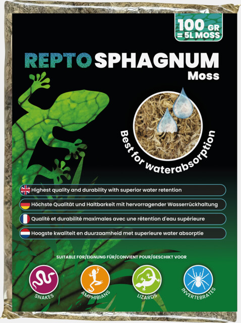 Musgo Sphagnum – Repto - Imagen 2
