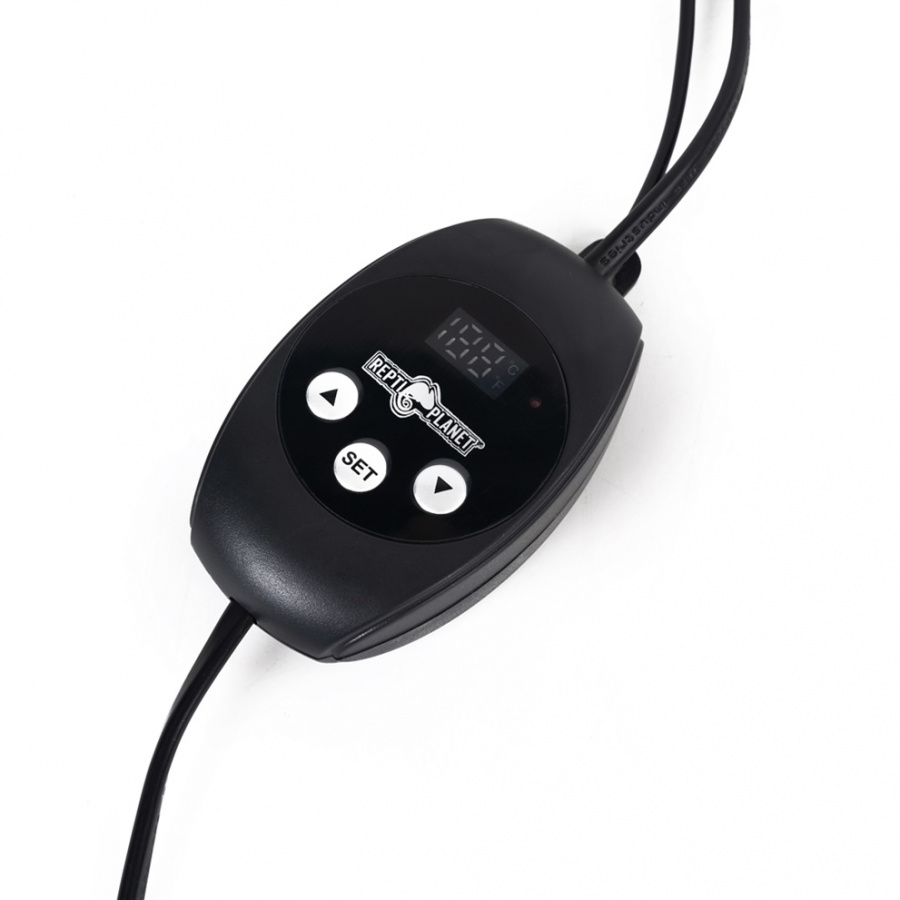 Termostato Mini PID – Repti Planet - Imagen 2